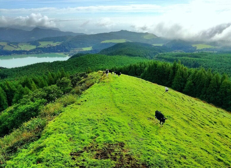 Picture 11 for Activity Half-Day 4X4 Tour Sete Cidades. Off the beaten Track.