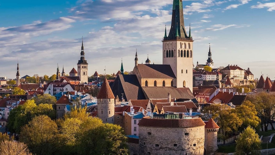 Tallinn: Museums, Public Transport, and More City Card