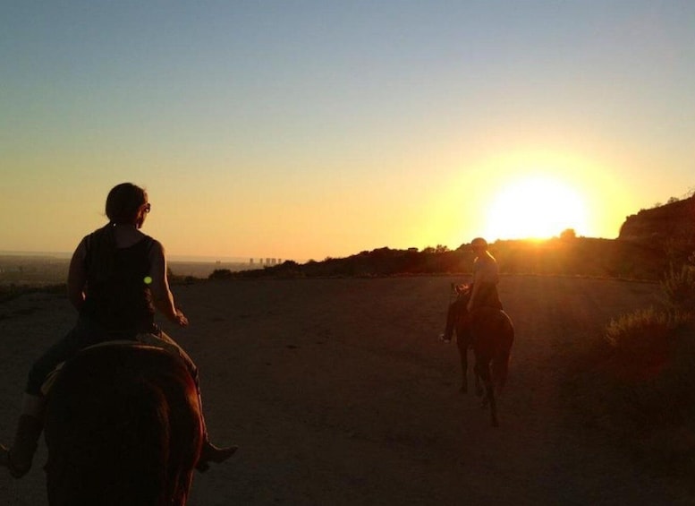 Picture 4 for Activity Los Angeles: 2-Hour Hollywood Trail Horseback Riding Tour