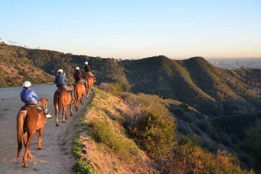 Picture 2 for Activity Los Angeles: 2-Hour Hollywood Trail Horseback Riding Tour