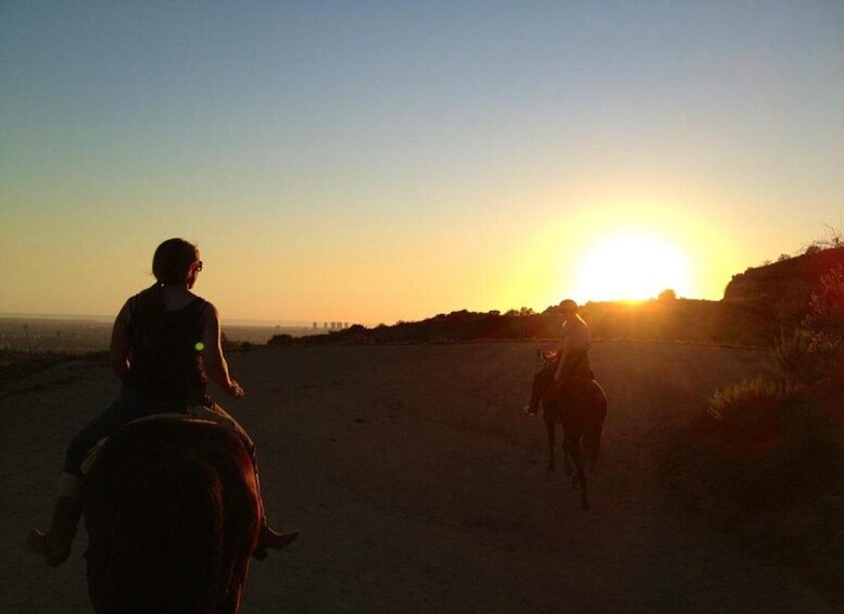 Picture 4 for Activity Los Angeles: 2-Hour Hollywood Trail Horseback Riding Tour