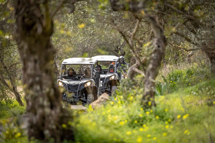 Picture 3 for Activity Porto: Dirt and Dust Tour by Oporto Buggy