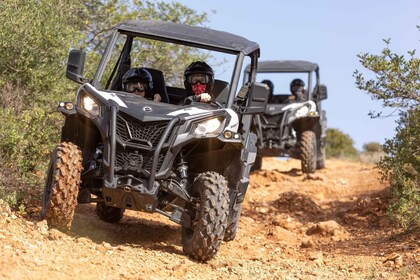 Porto: Buggy Oporto: Dirt and Dust Tour by Oporto Buggy