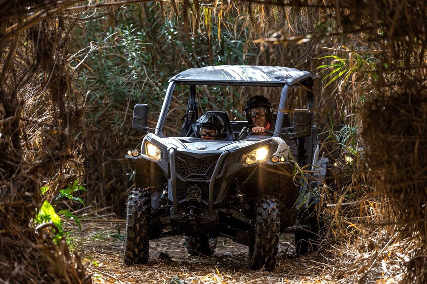 Picture 2 for Activity Porto: Dirt and Dust Tour by Oporto Buggy