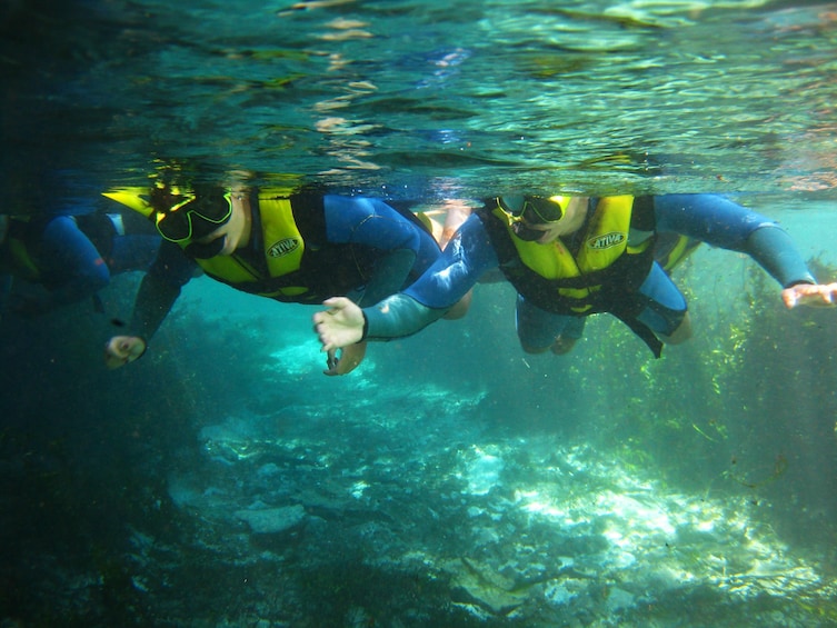 Floating at Sucuri River