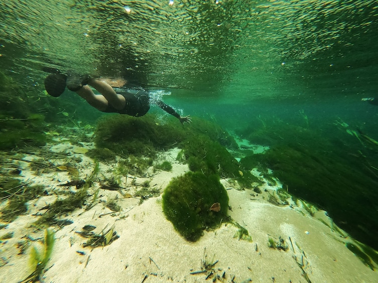 Floating at Sucuri River