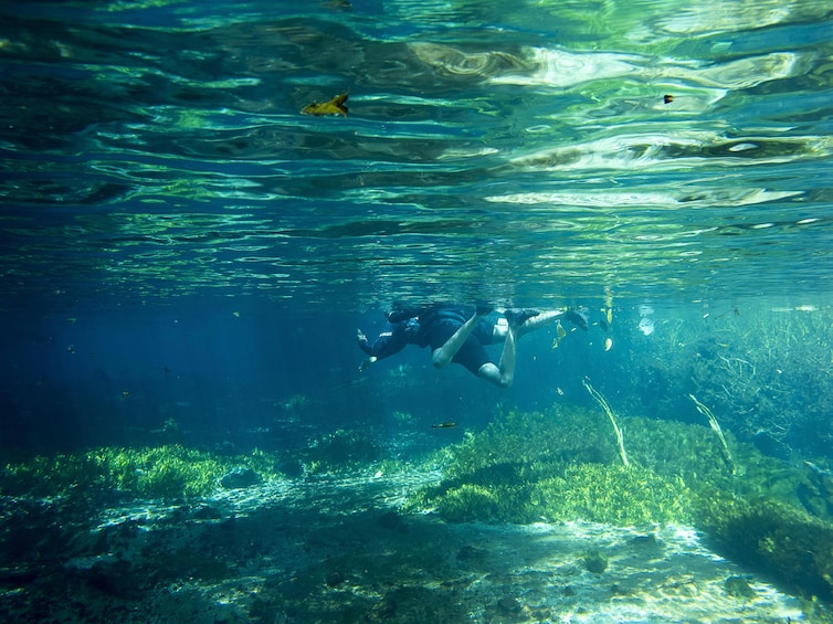 Floating at Sucuri River