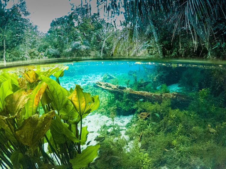 Floating in the Nascente Azul