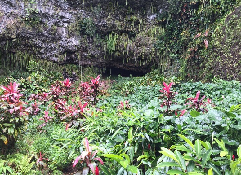 Picture 2 for Activity Kauai: Full-Day Tour with Fern Grotto River Cruise