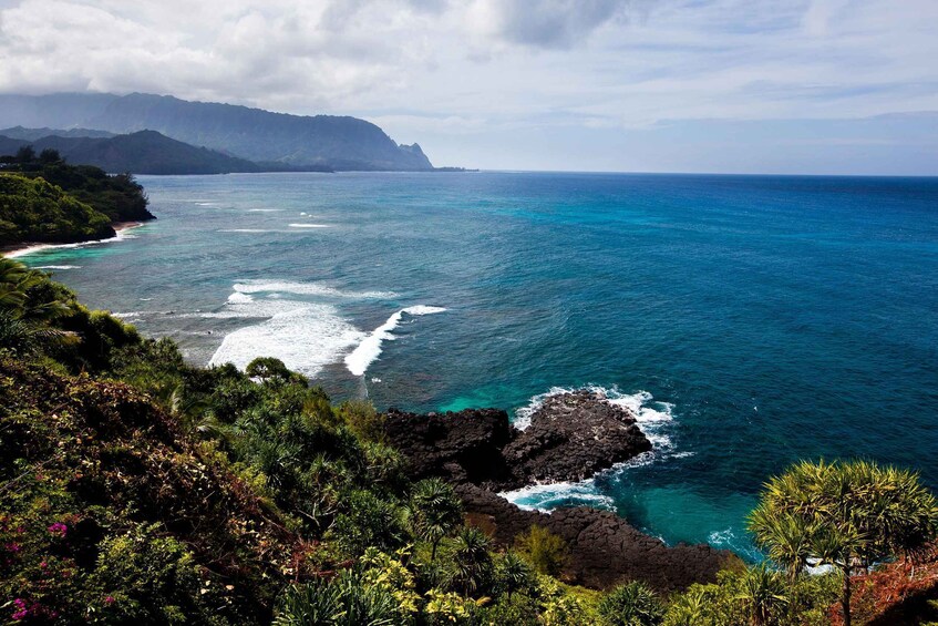 Picture 9 for Activity Kauai Northeast Tour, Fern Grotto River Cruise & Lighthouse