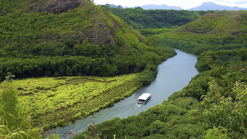 Picture 10 for Activity Kauai Northeast Tour, Fern Grotto River Cruise & Lighthouse