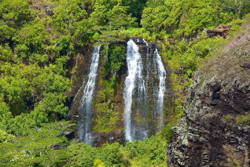 Picture 6 for Activity Kauai: Full-Day Tour with Fern Grotto River Cruise