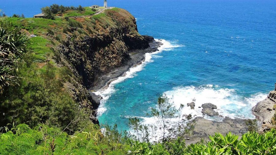 Kauai Northeast Tour, Fern Grotto River Cruise & Lighthouse