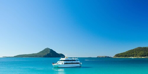 Port Stephens: Delfinsafari