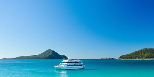 Port Stephens: Dolphin Watching Cruise & Boom Net Experience