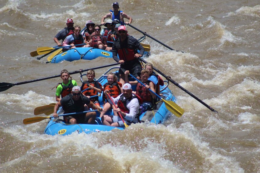 Picture 2 for Activity Durango: Animas River White Water Rafting Adventure