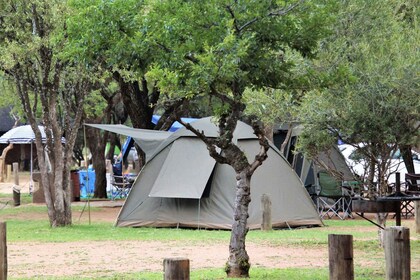 Pilanesberg: Tweedaags kampeeravontuur vanuit Johannesburg