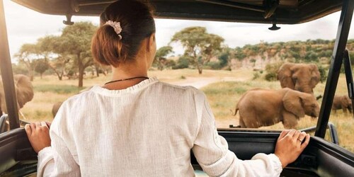 Pilanesberg: To-dages campingeventyr fra Johannesburg