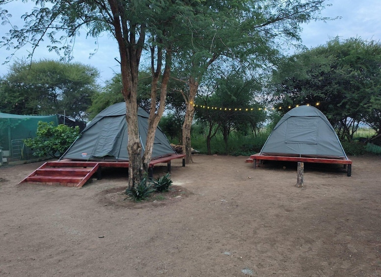 Picture 5 for Activity Pilanesberg: Two-Day Camping Adventure from Johannesburg