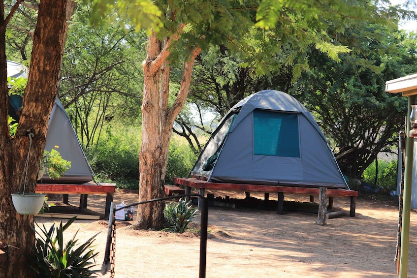 Picture 6 for Activity Pilanesberg: Two-Day Camping Adventure from Johannesburg