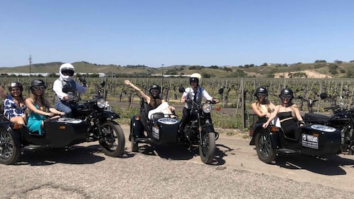 Santa Cruz : Sidecar Wine Tour avec guide et dégustation de vin