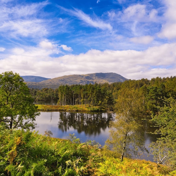 Picture 1 for Activity Lake District: Beatrix Potter Half-Day Tour