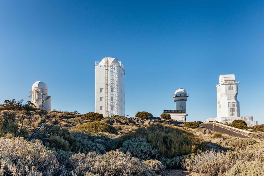 Picture 4 for Activity Tenerife: Mount Teide Observatory Guided Tour