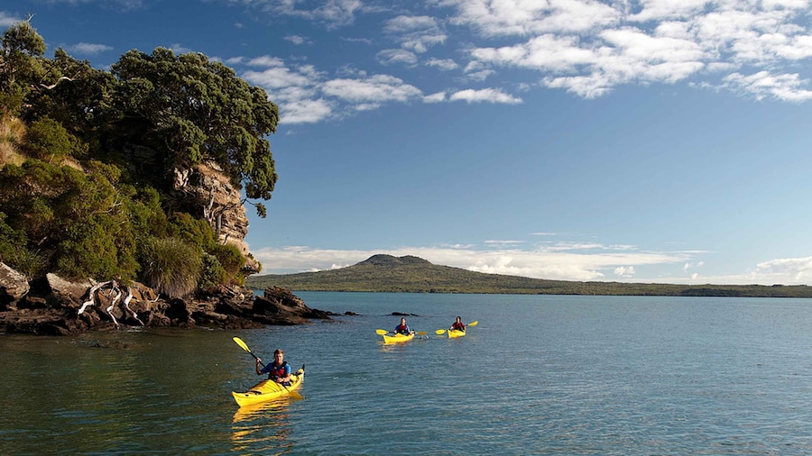 Auckland: Half-Day Sea Kayak Tour to Motukorea Island