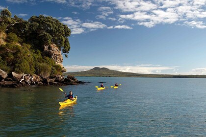 Auckland: tour de medio día en kayak por el mar a la isla de Motukorea