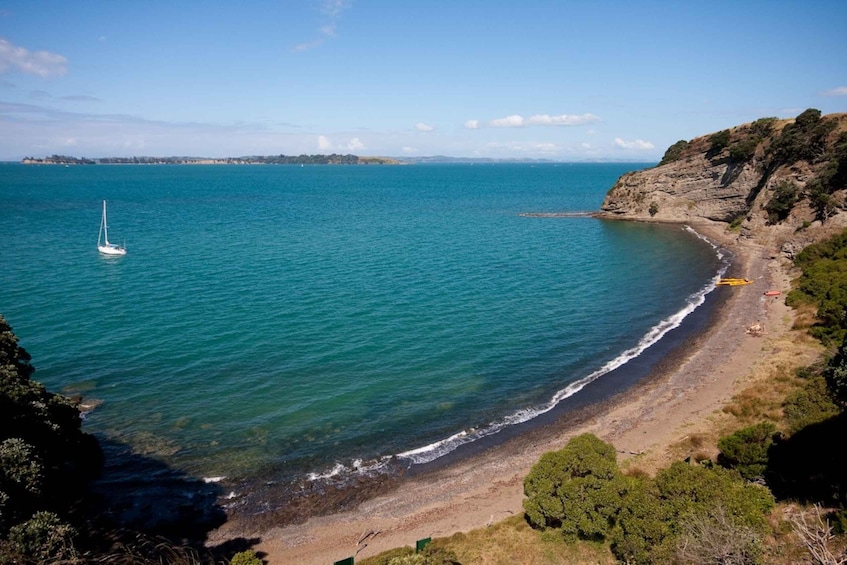 Picture 4 for Activity Auckland: Half-Day Sea Kayak Tour to Motukorea Island