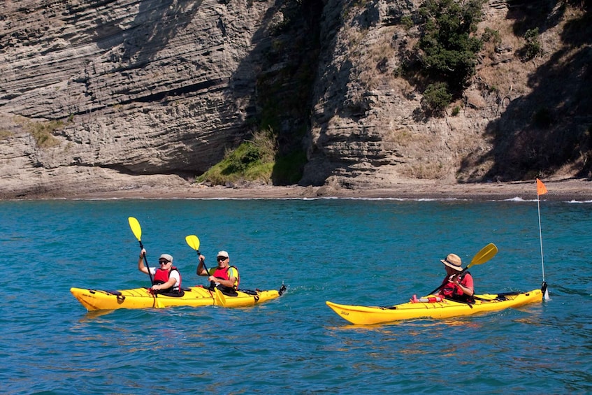 Picture 1 for Activity Auckland: Half-Day Sea Kayak Tour to Motukorea Island