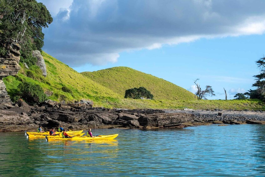 Picture 4 for Activity Auckland: Half-Day Sea Kayak Tour to Motukorea Island