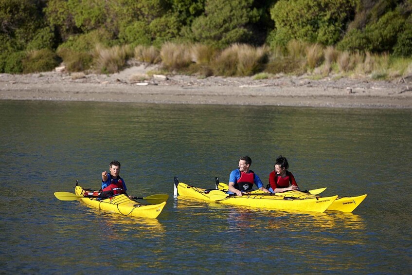 Picture 2 for Activity Auckland: Half-Day Sea Kayak Tour to Motukorea Island
