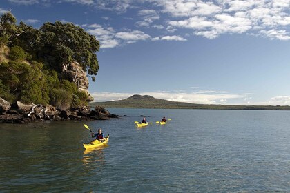 Auckland Tur Kayak Laut Setengah Hari ke Pulau Motukorea