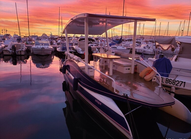 Picture 7 for Activity From Juan les Pins: Private French Riviera Solar Boat Cruise