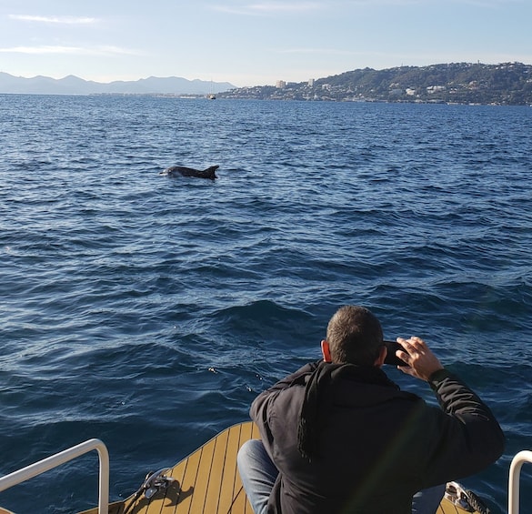 Picture 17 for Activity From Juan les Pins: Private French Riviera Solar Boat Cruise