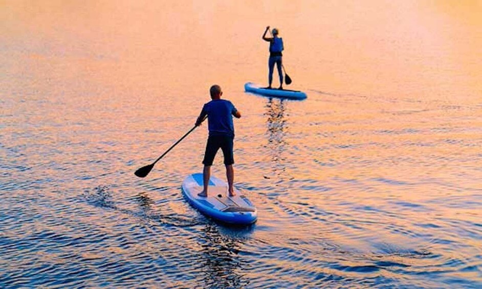 Picture 2 for Activity Napa Valley: Napa River Stand Up Paddle Board Rental