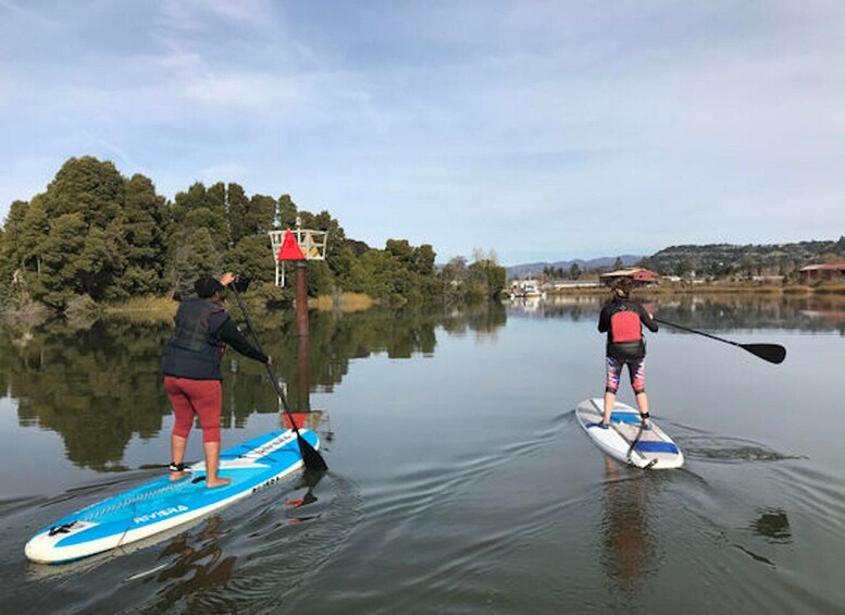 Picture 1 for Activity Napa Valley: Napa River Stand Up Paddle Board Rental