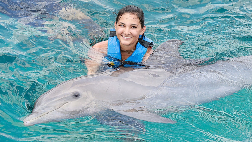 Foto 5 von 10 laden Dolphin Swim Adventure in Punta Cana