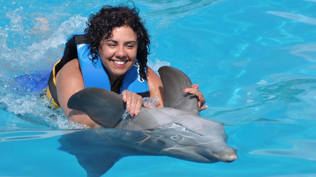 Foto 3 von 10 laden Dolphin Swim Adventure in Punta Cana