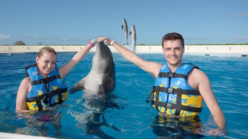 ,Nadar con delfines