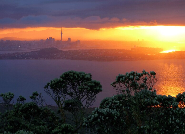 Picture 4 for Activity Auckland: Sunset & Night Sea Kayak Tour to Rangitoto Island