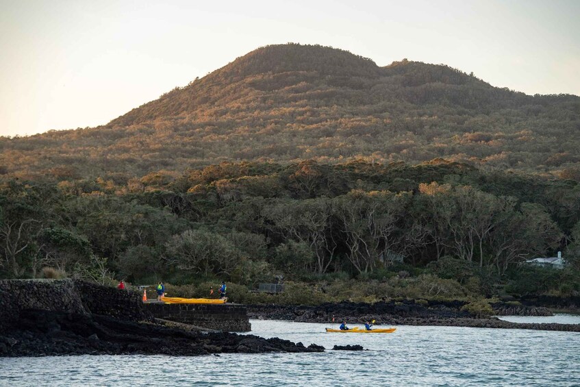 Picture 12 for Activity Auckland: Sunset & Night Sea Kayak Tour to Rangitoto Island