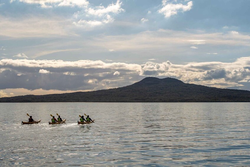 Picture 11 for Activity Auckland: Sunset & Night Sea Kayak Tour to Rangitoto Island