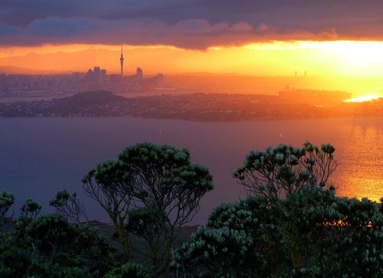 Picture 4 for Activity Auckland: Sunset & Night Sea Kayak Tour to Rangitoto Island