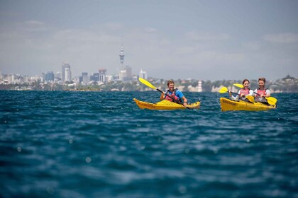 Auckland: Excursión nocturna y al atardecer en kayak de mar a la isla de Ra...