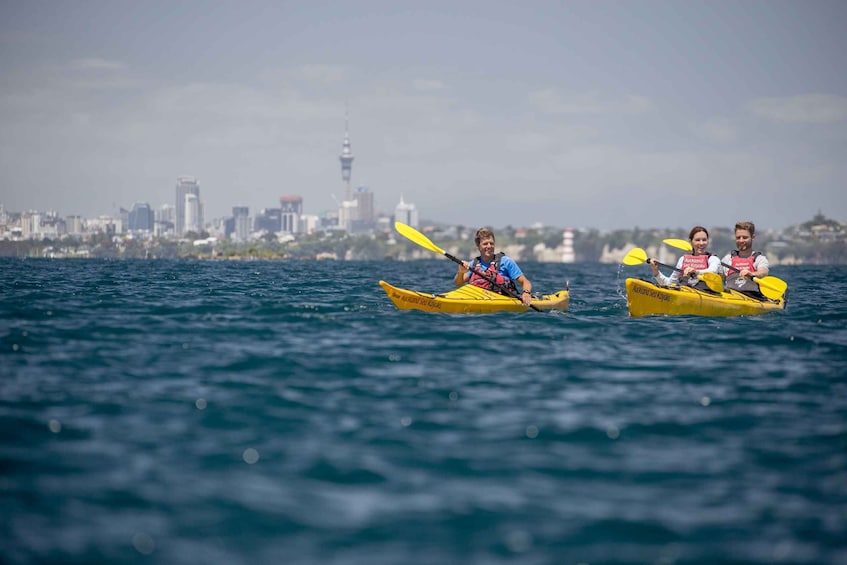 Picture 4 for Activity Auckland: Sunset & Night Sea Kayak Tour to Rangitoto Island