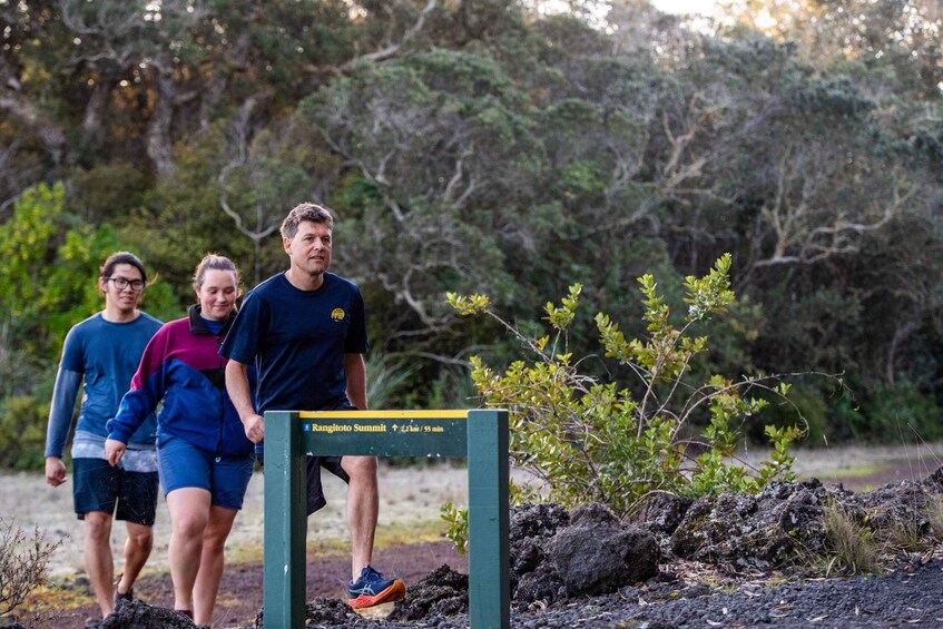 Picture 8 for Activity Auckland: Sunset & Night Sea Kayak Tour to Rangitoto Island