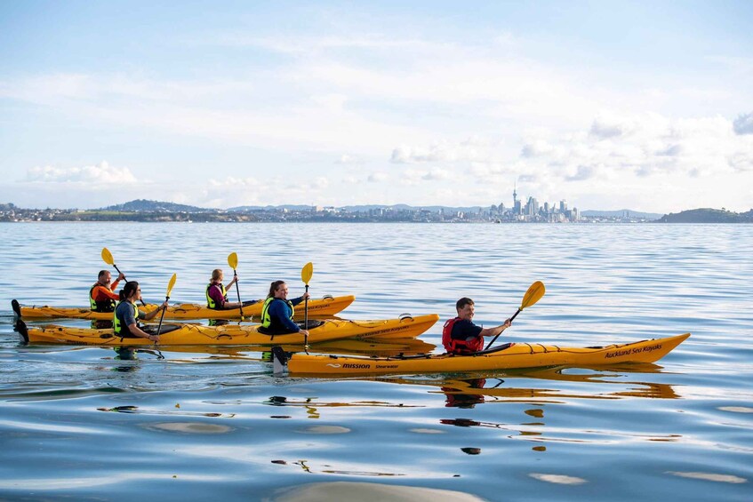 Picture 10 for Activity Auckland: Sunset & Night Sea Kayak Tour to Rangitoto Island