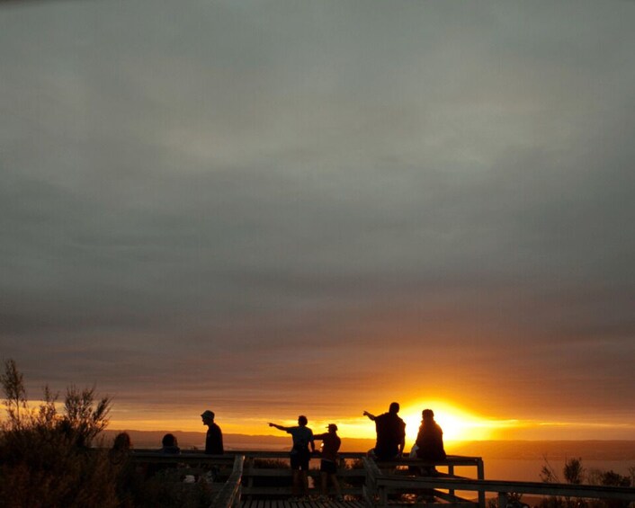 Picture 2 for Activity Auckland: Sunset & Night Sea Kayak Tour to Rangitoto Island